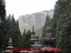 杨氏小架太极拳研究会成立暨于学模副会长收徒